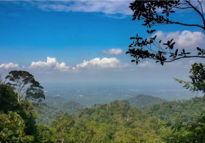 Gunung Pulai Johor Bahru