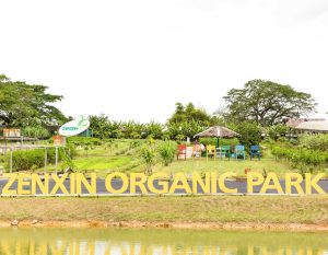 Zenxin Organic Farm